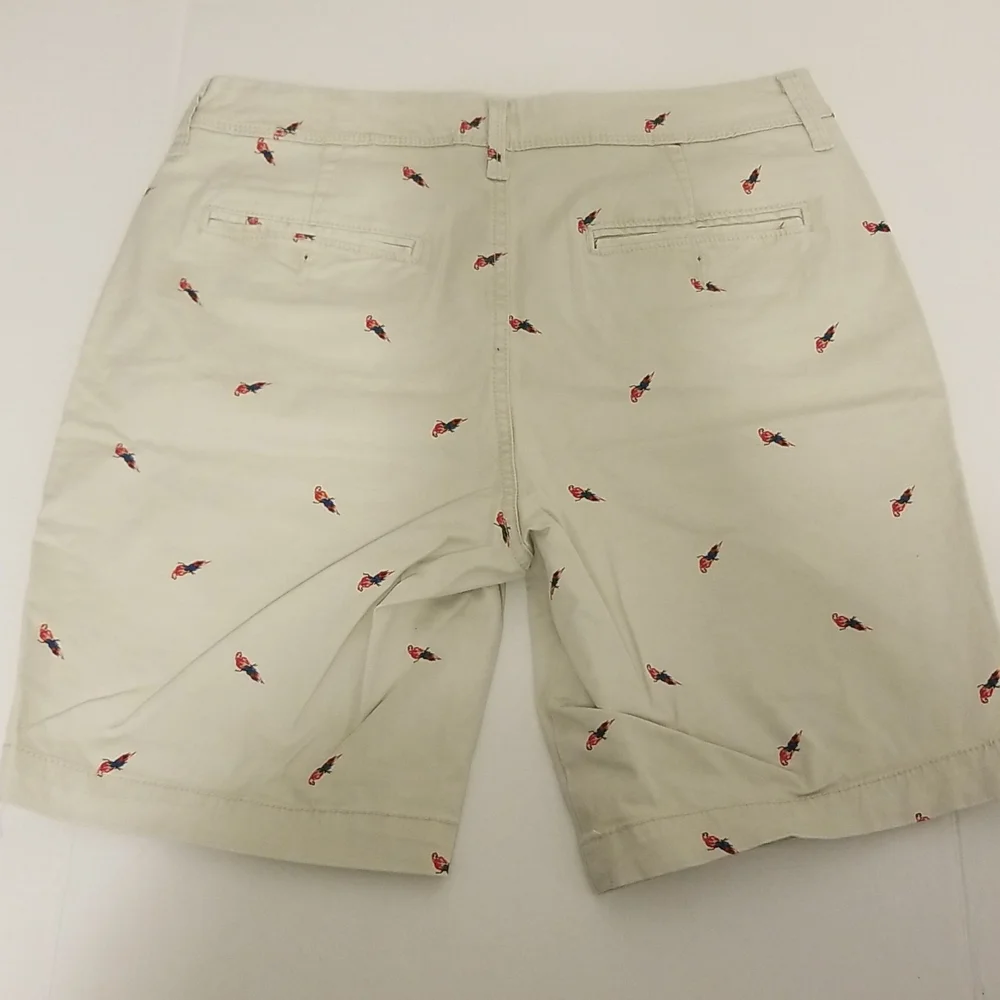 Aeropostale Size 31 Parrot Bermuda Short Khaki Tropical Bird Hawaiian - Picture 6 of 6
